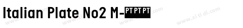 Italian Plate No2 M字体转换